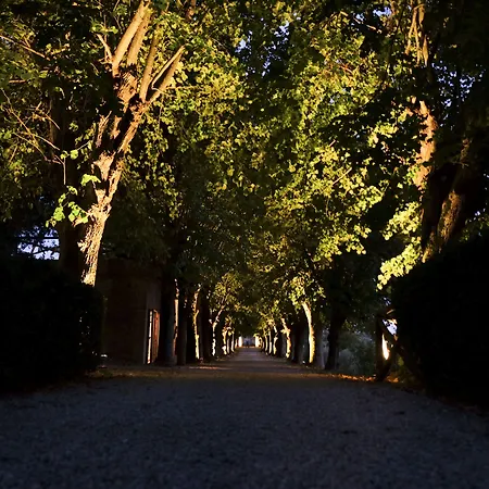 度假村 Borgo Colleoli
